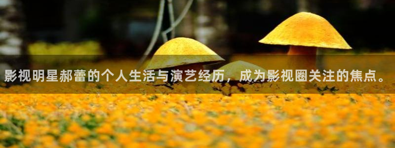 yy406青苹果影院：影视明星郝蕾的个人生活与演艺经历，成为影视圈关注的焦点。