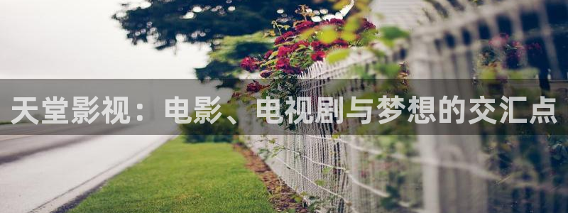 yy6080080青苹果影院：天堂影视：电影、电视剧与梦想的交汇点