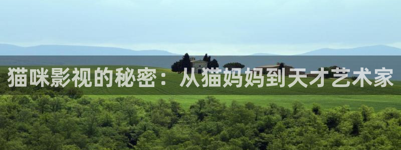 4488青苹果影院：猫咪影视的秘密：从猫妈妈到天才艺术家