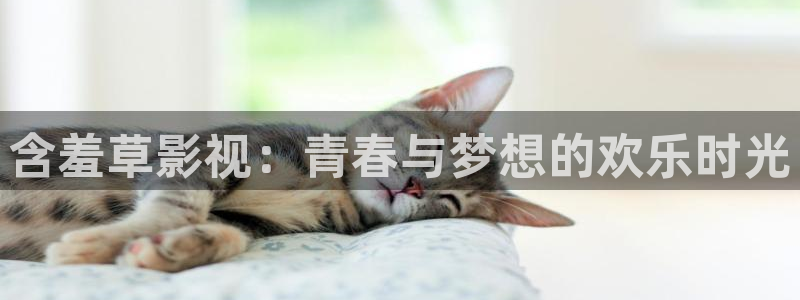 青苹果影院免费在线看剧入口：含羞草影视：青春与梦想的欢乐时光