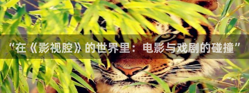 青苹果影院理论片：“在《影视腔》的世界里：电影与戏剧的碰撞”