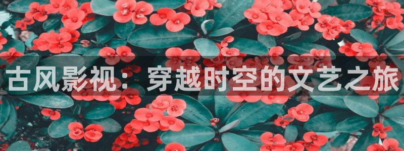 4040青苹果影院：古风影视：穿越时空的文艺之旅